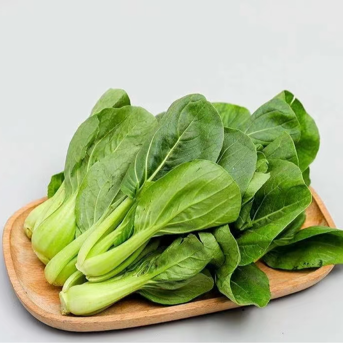 上海青（شاڭخەي كۆكى）