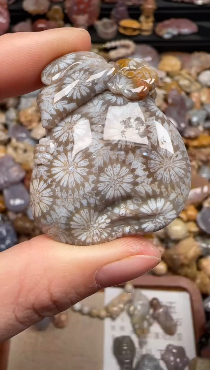 硅化珊瑚（珊瑚玉）未镶嵌颈饰117