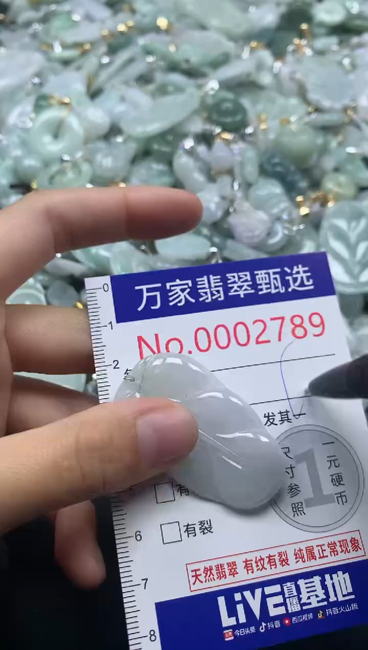 吊坠(不含链)未镶嵌翡翠2789