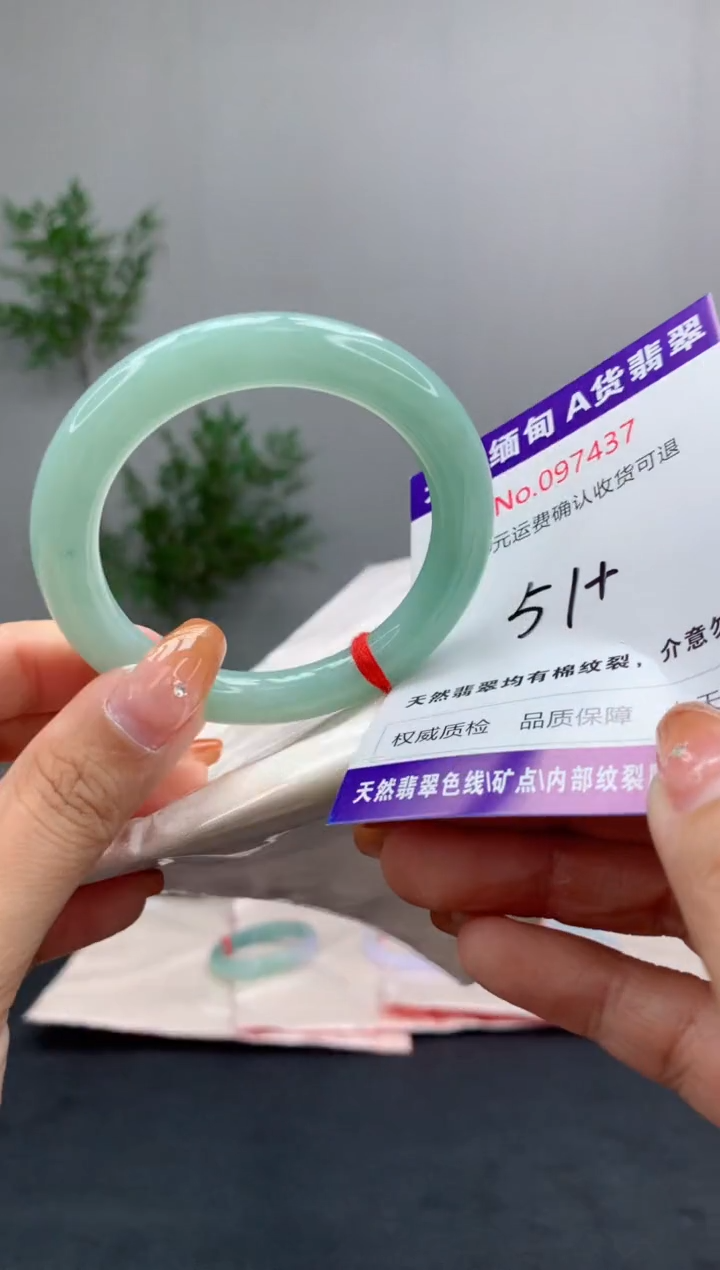 未镶嵌手镯翡翠天然缅甸A货翡翠