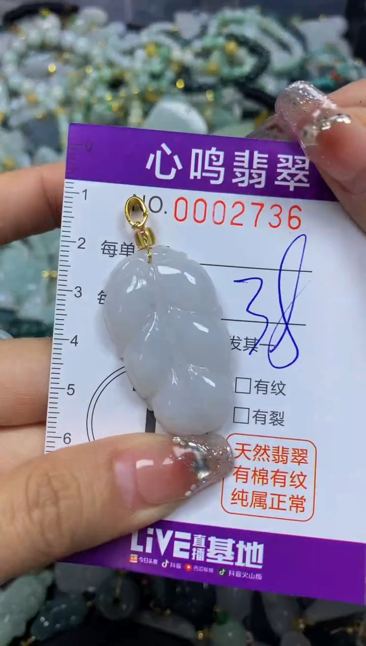 【闪购商品】翡翠颈饰未镶嵌闪购002736