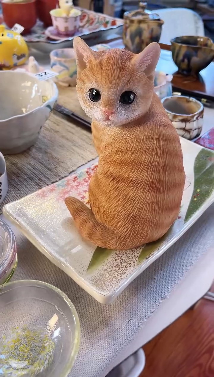 【闪购商品】瓷片猫猫啊啊啊啊啊啊啊啊啊啊啊