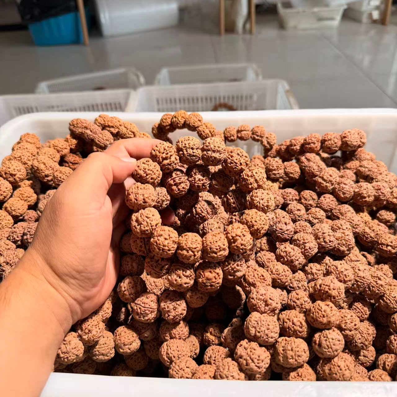 金刚菩提大金刚13号古龙梅花 尺寸可选