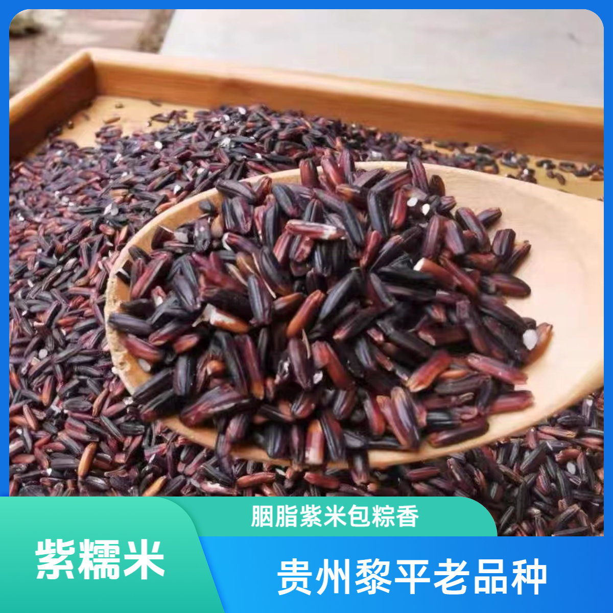 2025胭脂紫米农家米 老品种包粽紫糯米 带胚芽的大米 新紫米粗粮