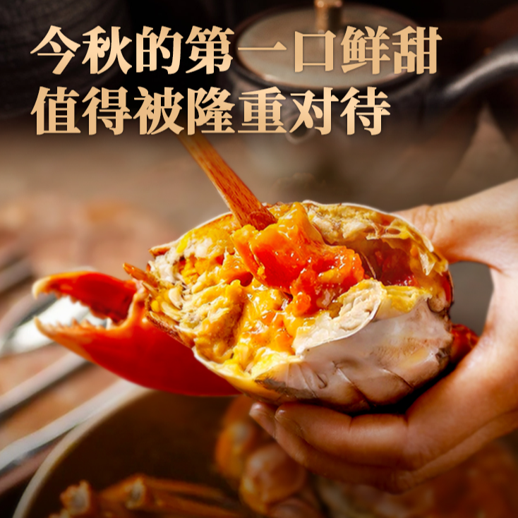 蟹师会年糕专属【3.5两全母】大闸蟹 活蟹 8只礼盒装 肉质鲜甜可口