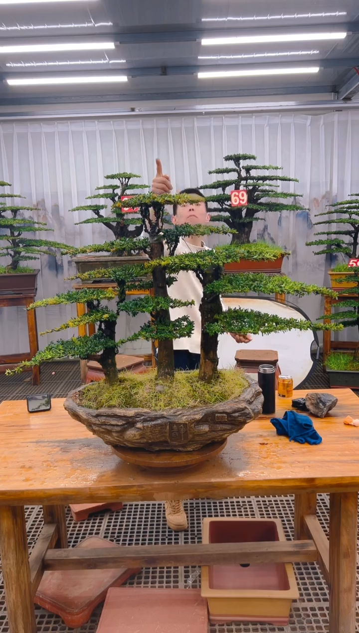 【闪购商品】紫砂精品盆景直播间一物一拍