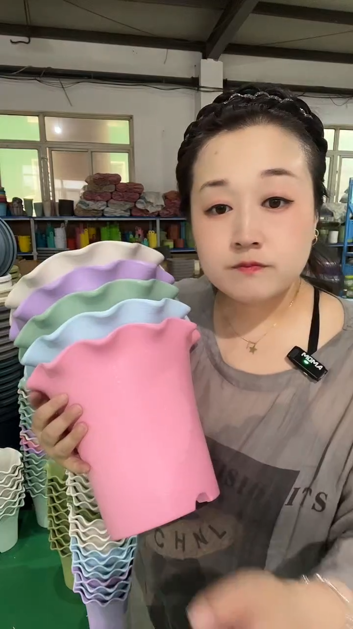 5个瑕疵彩色荷叶边5003，带托盘  5个颜色