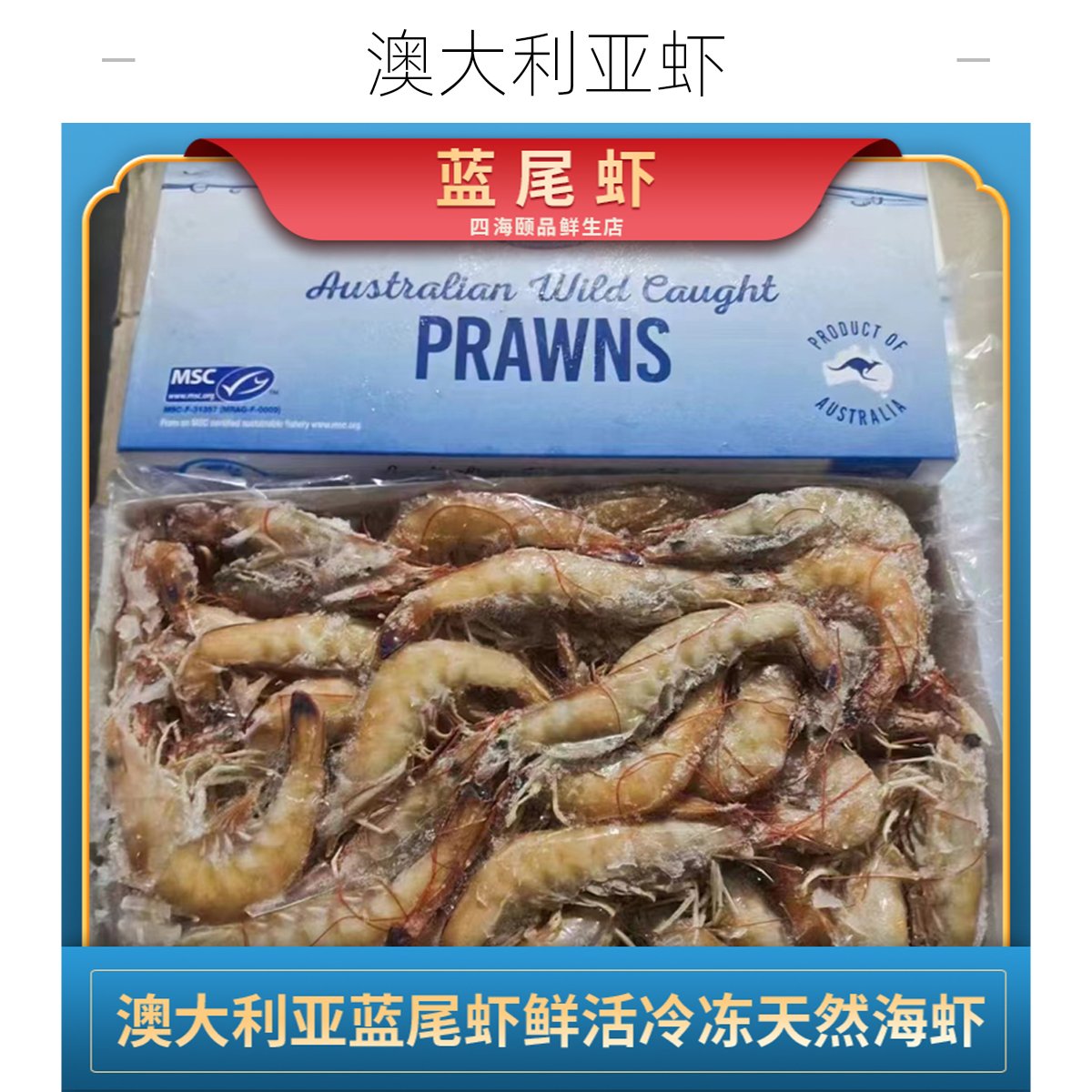海捕蓝尾虾国王虾鲜活现捕活冻深海天然海虾国王虾U15要去虾线