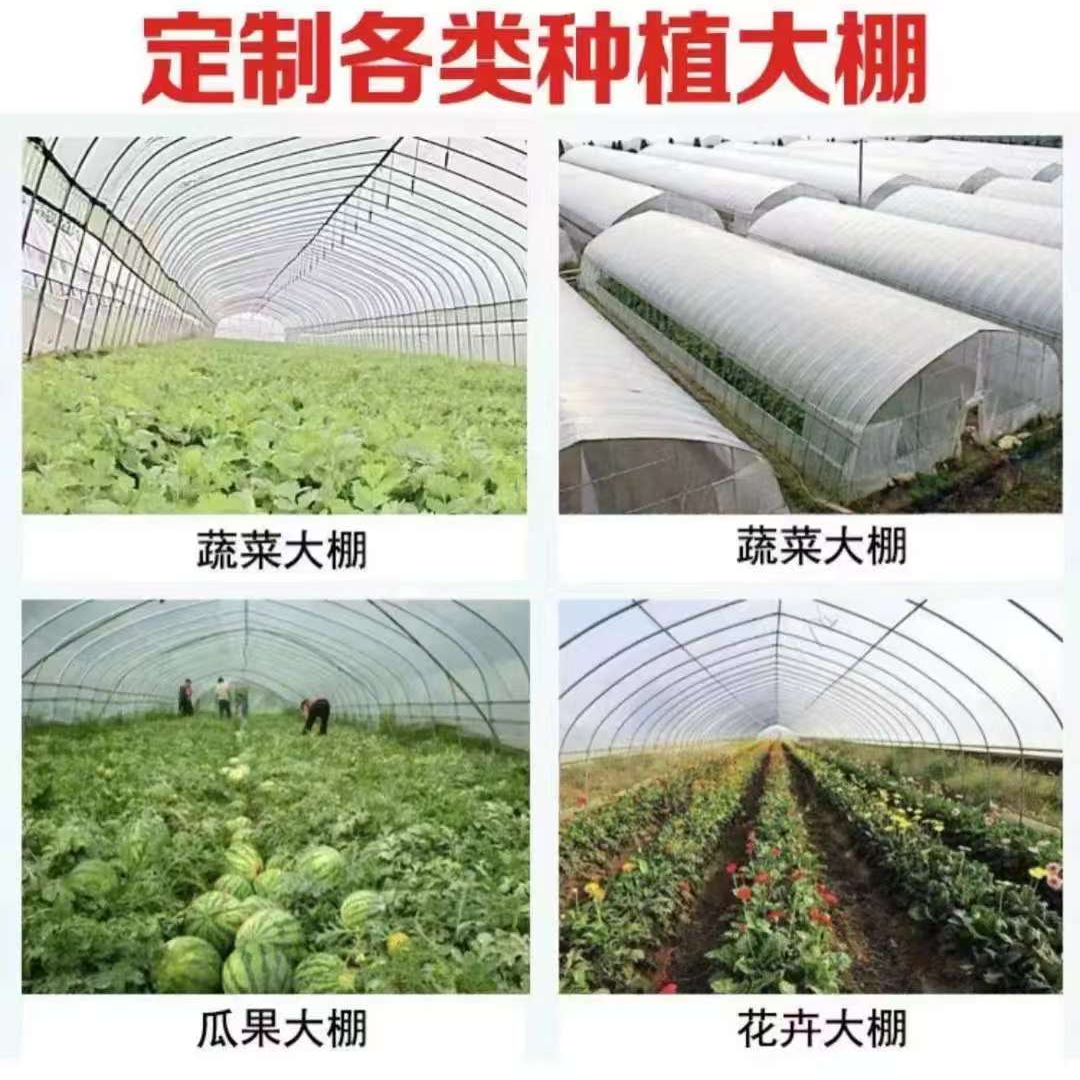 1号2号棚定制尺寸（联系客服）塑料拱棚支架暖棚
