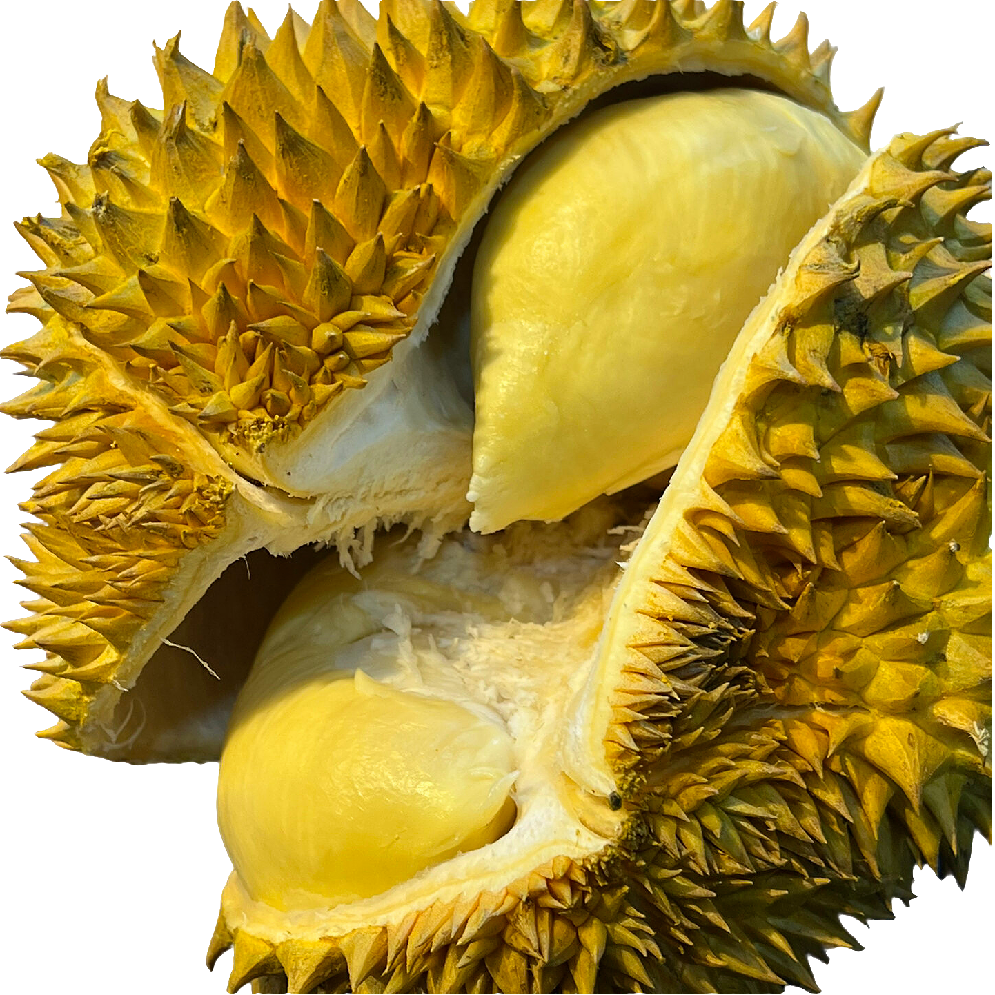 【浦东 特价微瑕】新鲜泰国树熟金枕榴莲肉1盆核小约600g 榴莲小时达金枕泰国
