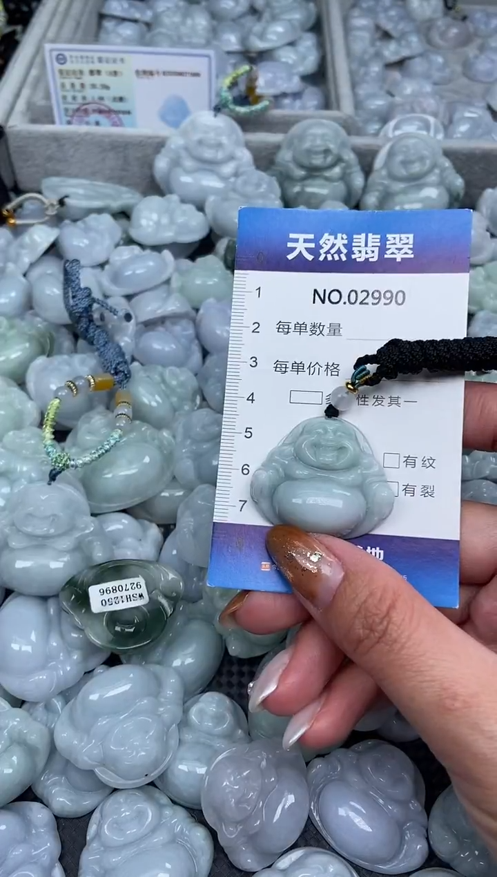 颈饰未镶嵌翡翠纯天然A货翡翠2990