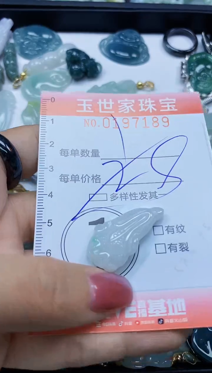 【闪购商品】翡翠颈饰未镶嵌闪购0197189多样性发其一