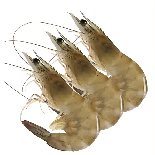 鲜活基围虾 500g±10g/份(鲜虾配送，无法保证到家后每条包活，介意勿拍）