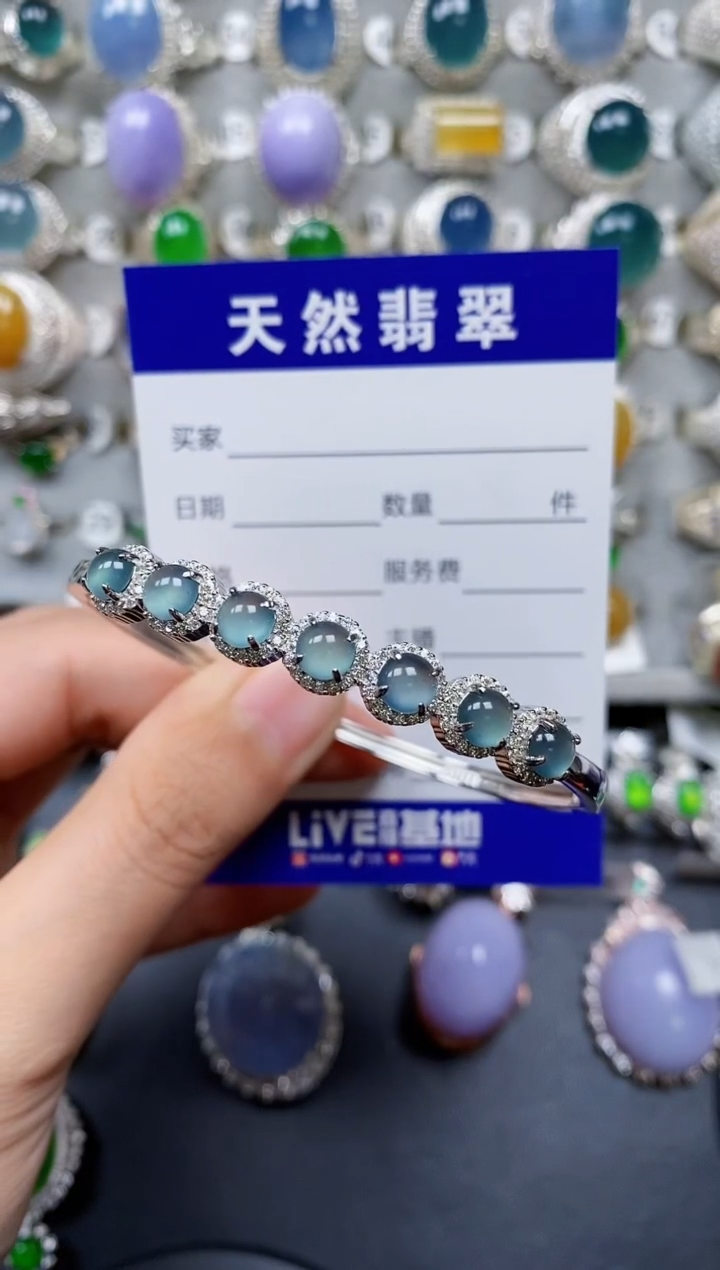 【闪购商品】翡翠颈饰银S925镶嵌0225