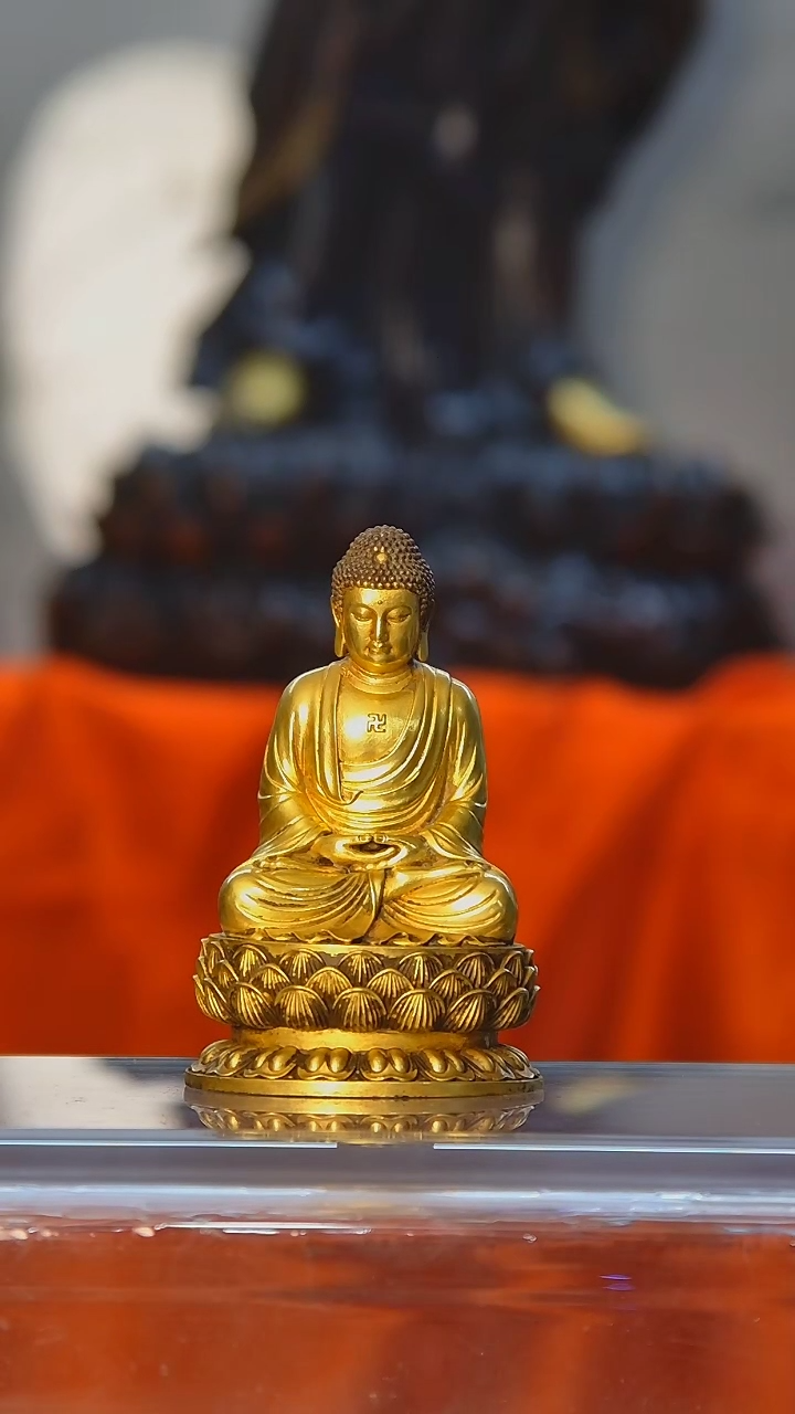 【闪购商品】佛佛佛佛佛佛佛佛佛