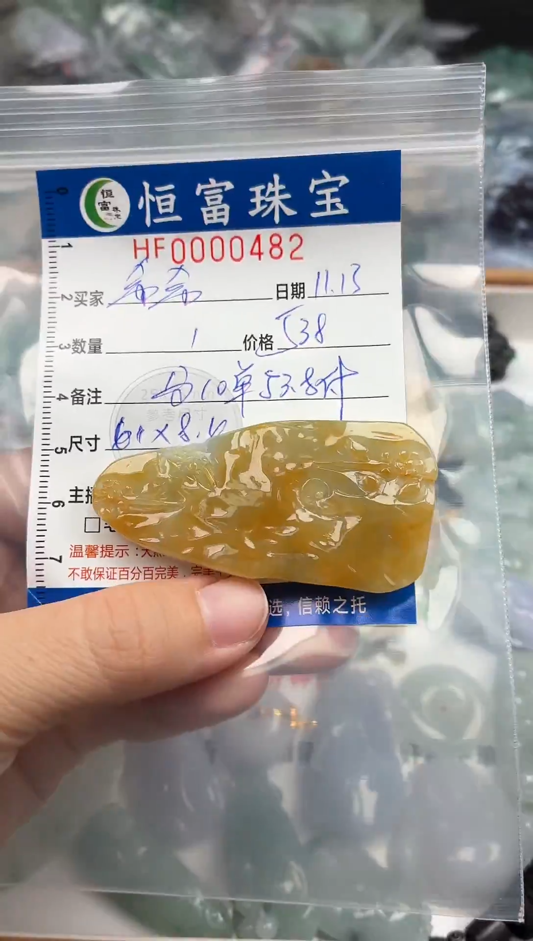 颈饰未镶嵌翡翠希*翡翠挂件（有避雕）482