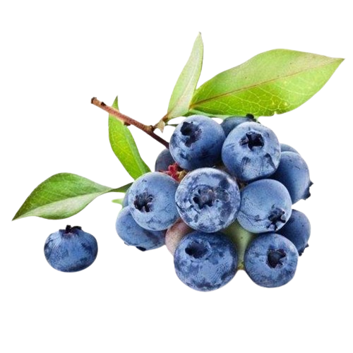 云南高山花香蓝莓 125g.  (15mm)  2盒云南蓝莓云南云南省云南