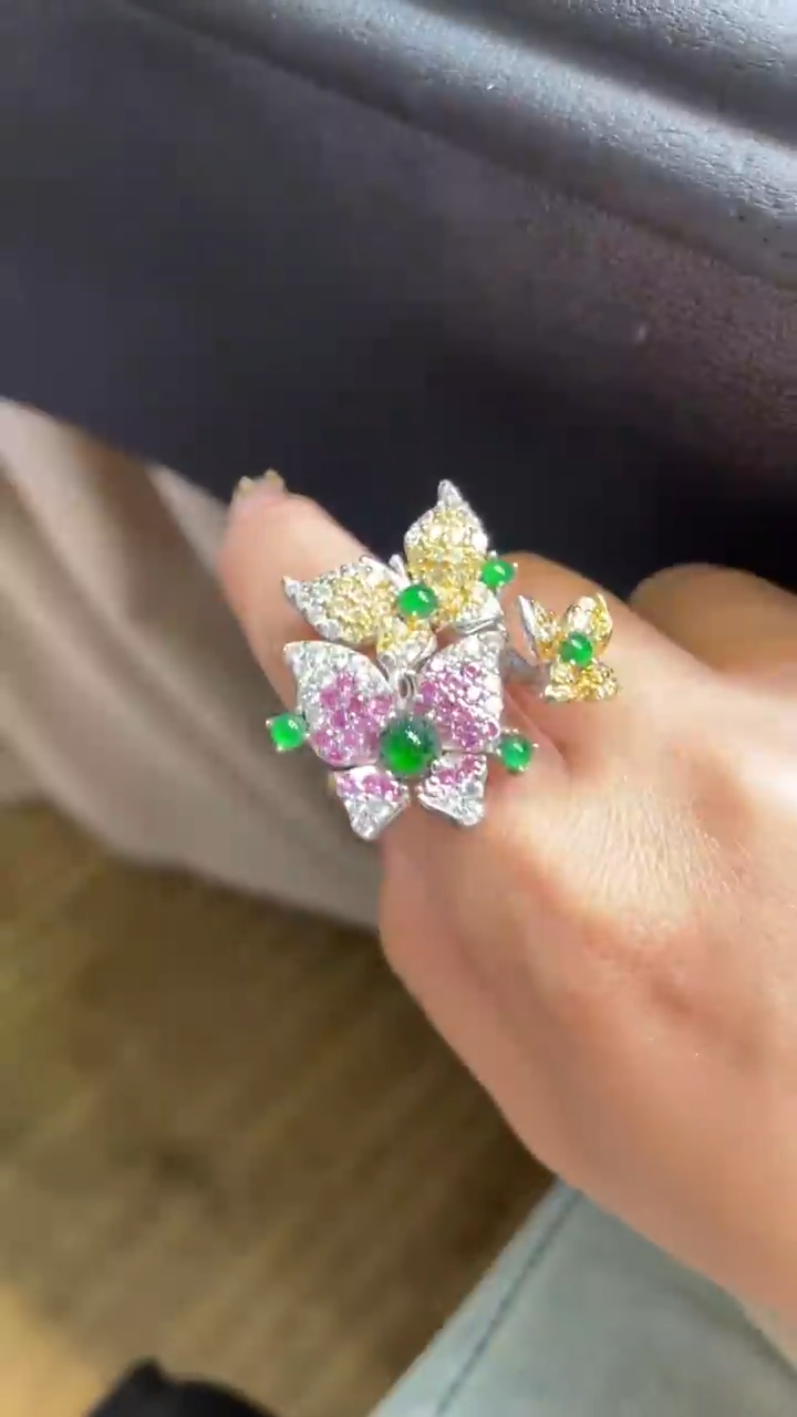 【闪购商品】翡翠颈饰未镶嵌      *172