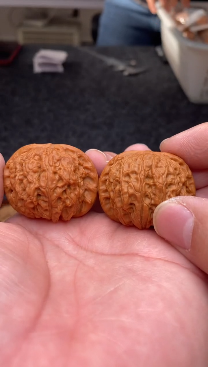 把件文玩核桃B202号血麒麟41尺