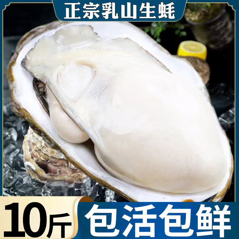【买5斤送5斤】金标乳山生蚝全国就近发货顺丰包邮