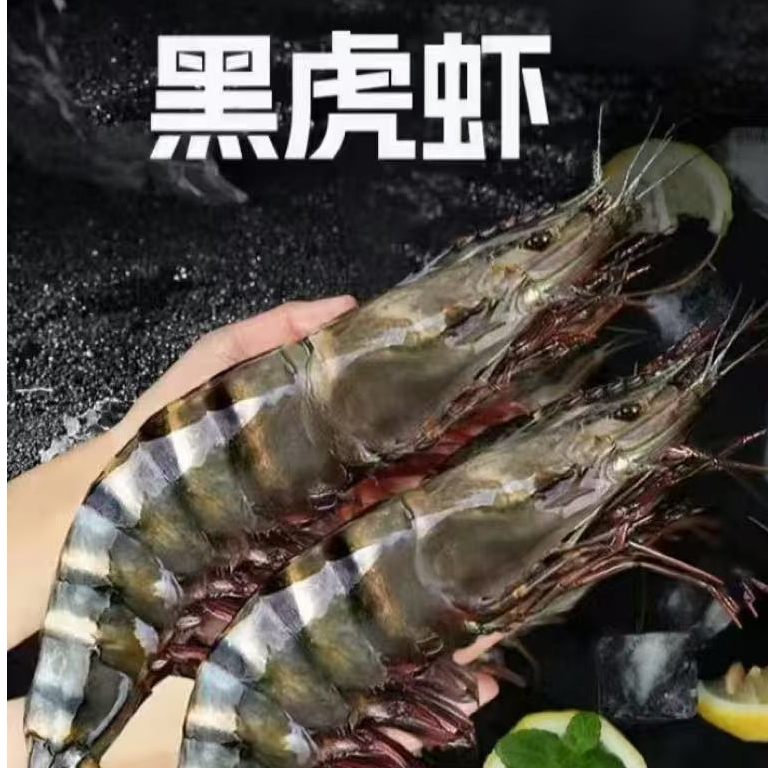 海捕大黑虎虾26-30规格 15厘米左右36只到45只左右 速冻发货1500g大虾同城送
