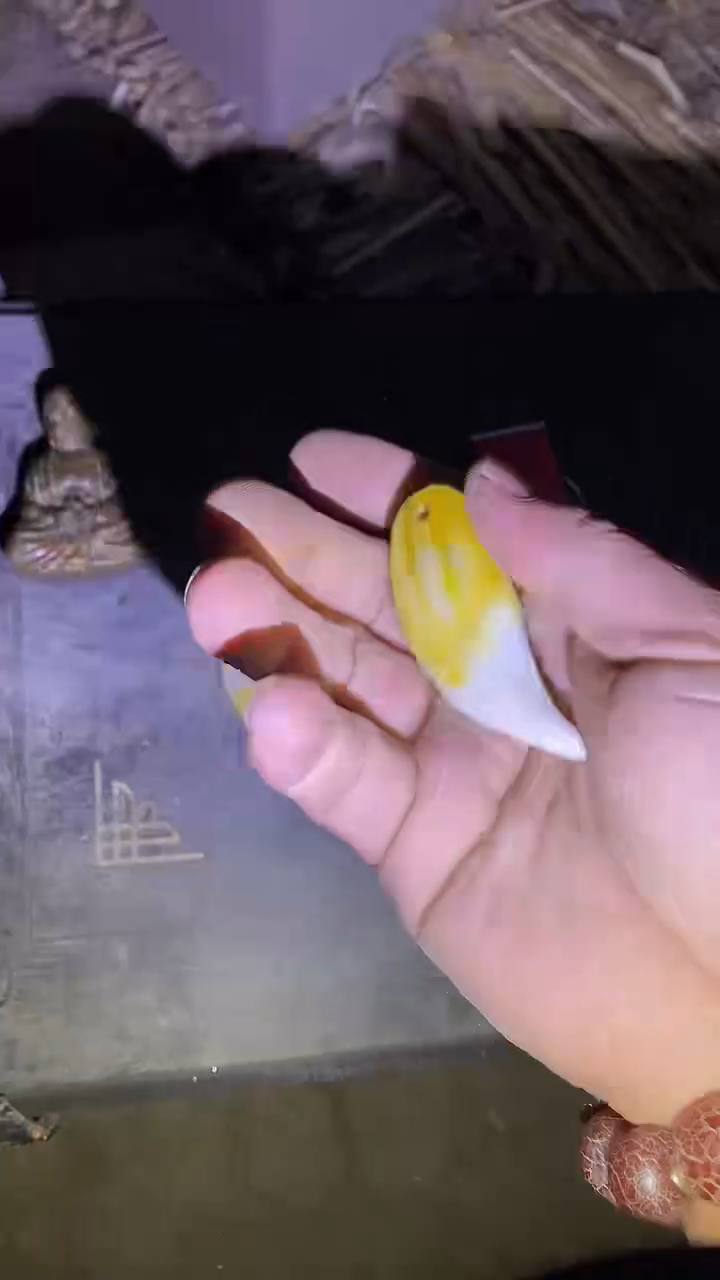 木91啊啊啊啊啊啊啊啊啊