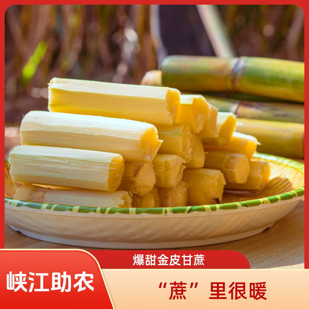 【峡江助农】蔗”里很暖  正宗江西峡江种植新鲜金皮甘蔗京东包邮