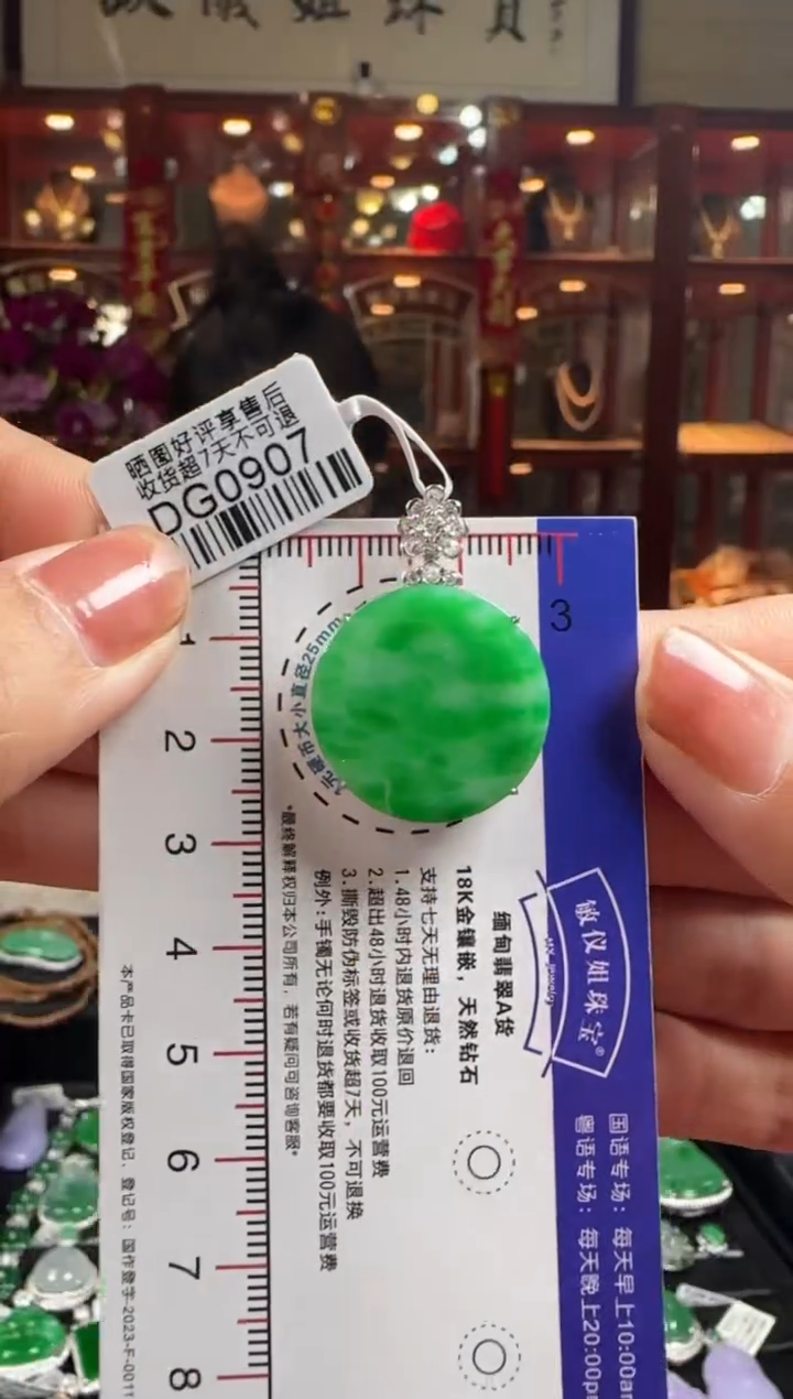 【闪购商品】翡翠颈饰18K金镶嵌DG0907冰绿无事牌