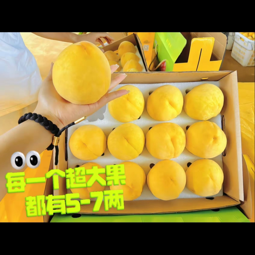 贵州宁谷秀田黄桃新鲜现摘脆甜多汁蜜桃当季水果