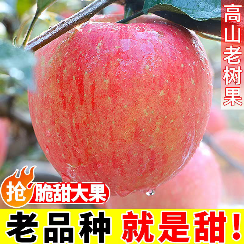 正宗陕西洛川红富士苹果新鲜水果脆甜多汁条纹苹果红富士产地直发