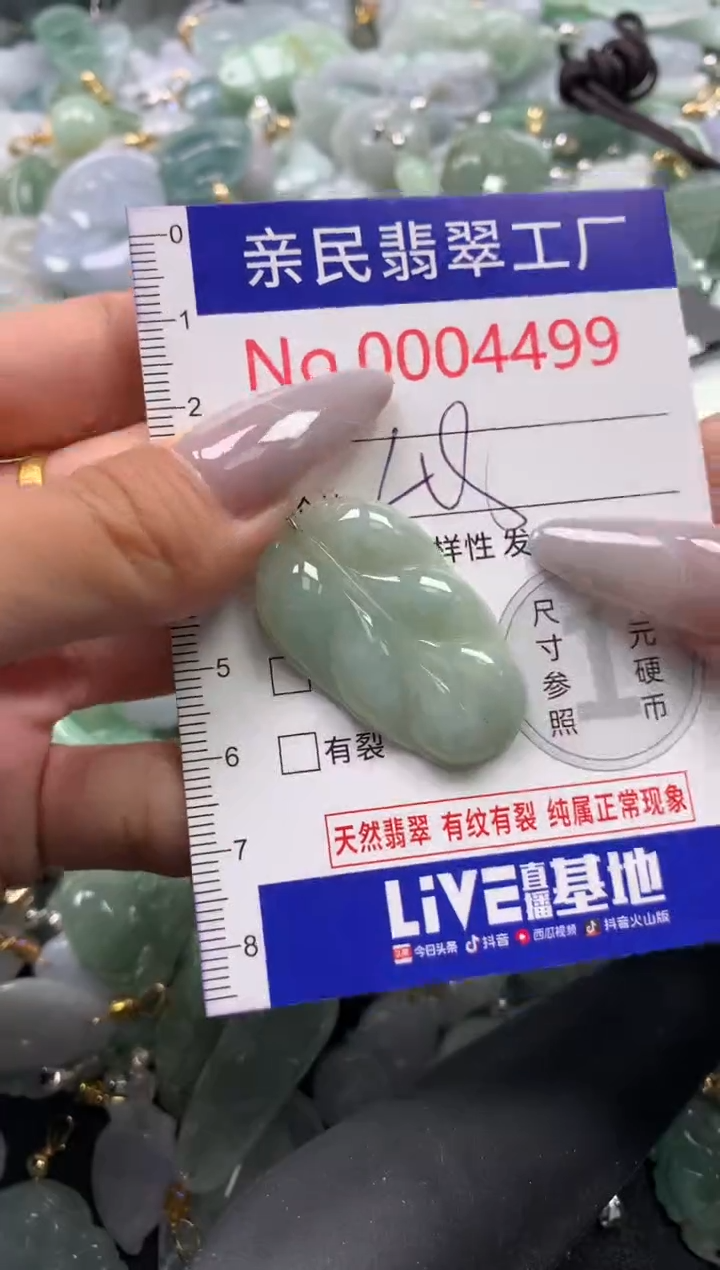 颈饰未镶嵌翡翠4499