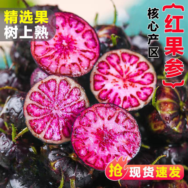 【现摘现发】云南高山红果参蜘蛛果稀有高原新鲜采摘当季水果花青素