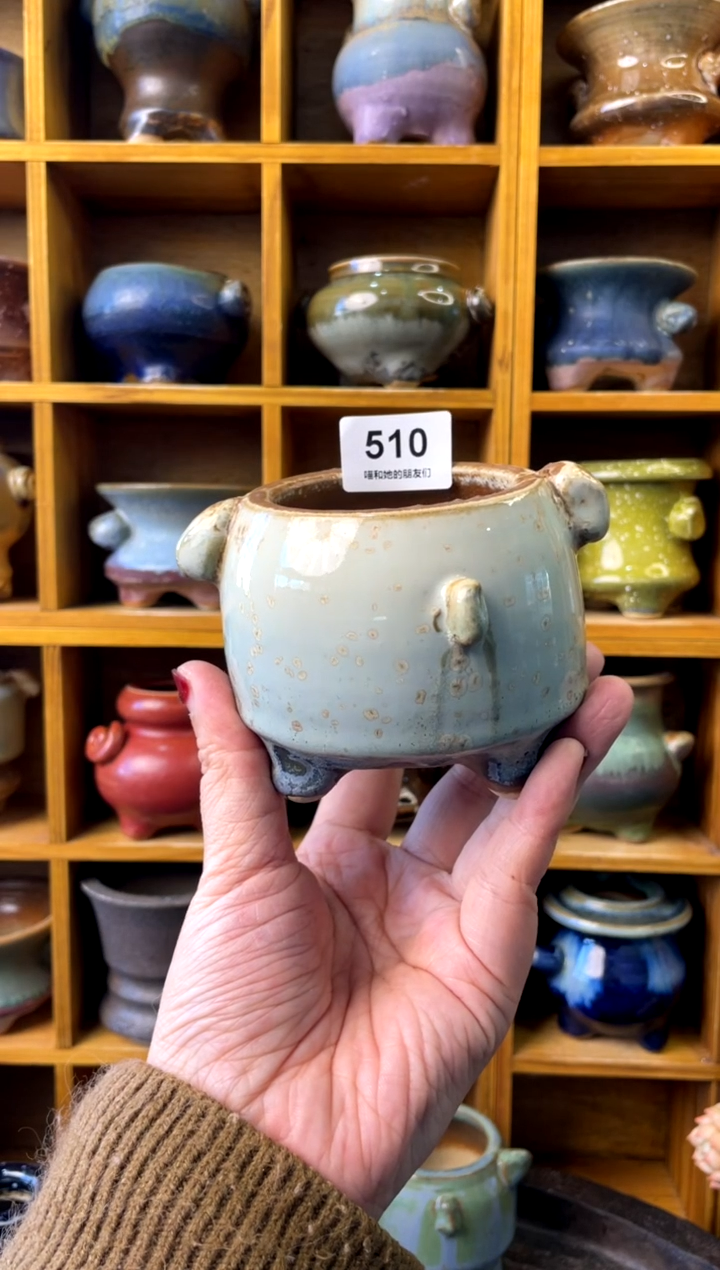 【闪购商品】陶微瑕510 内口6【 来自成人礼的特 】