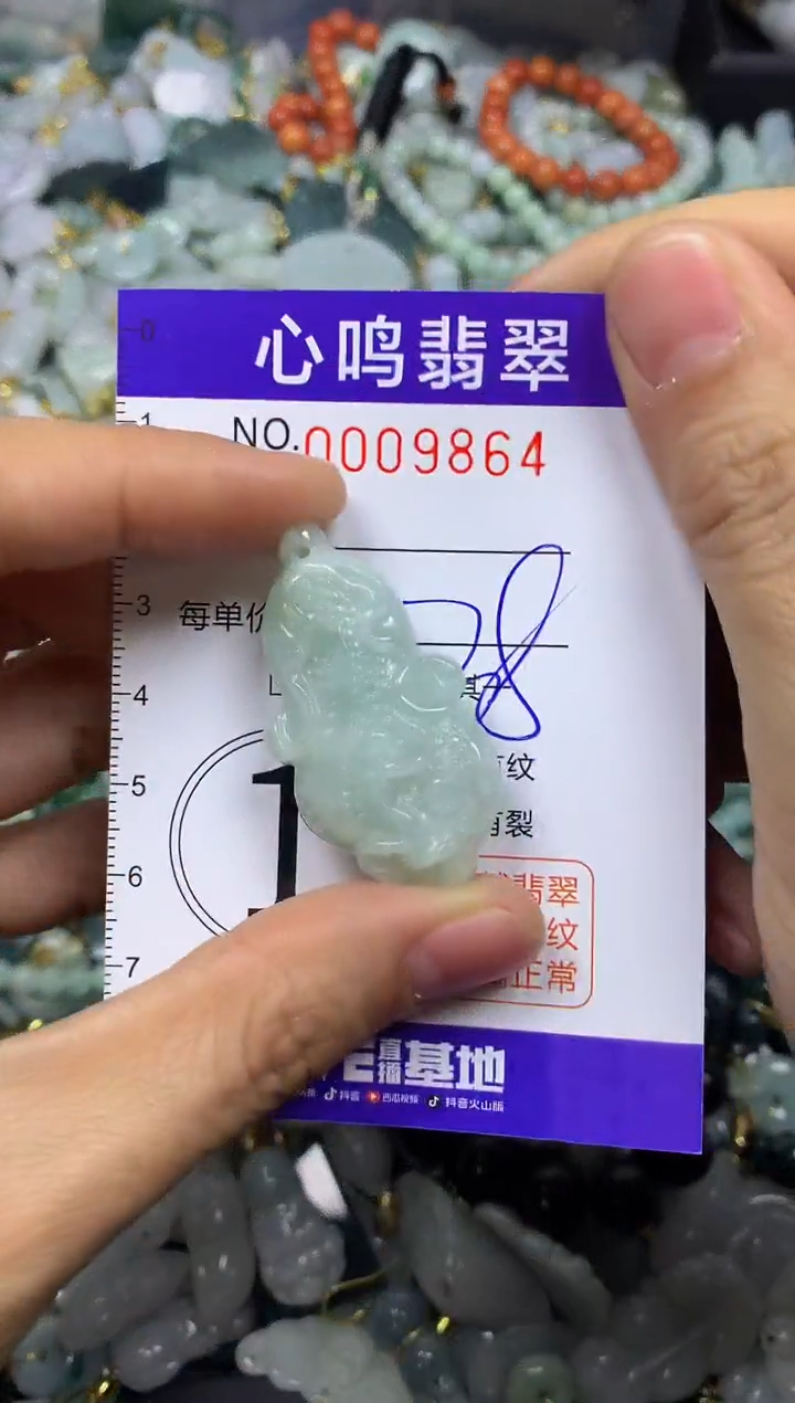 【闪购商品】翡翠颈饰未镶嵌闪购009864