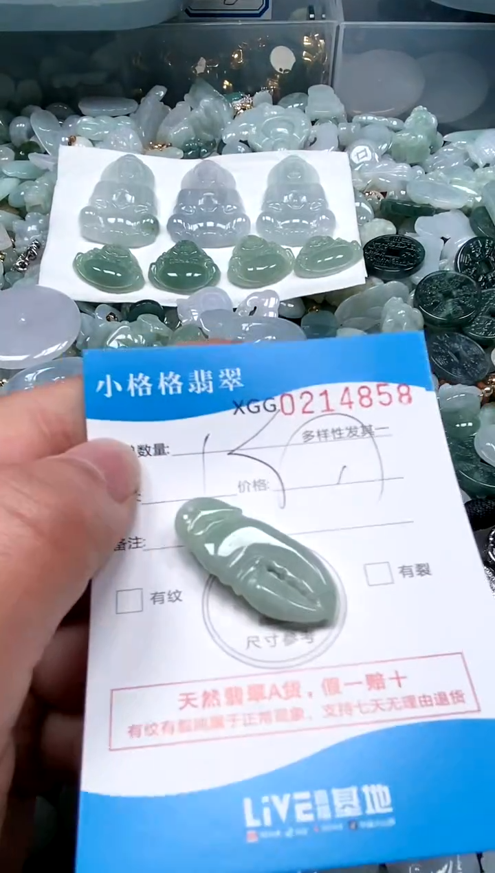 【闪购商品】翡翠颈饰未镶嵌闪购商品0214858