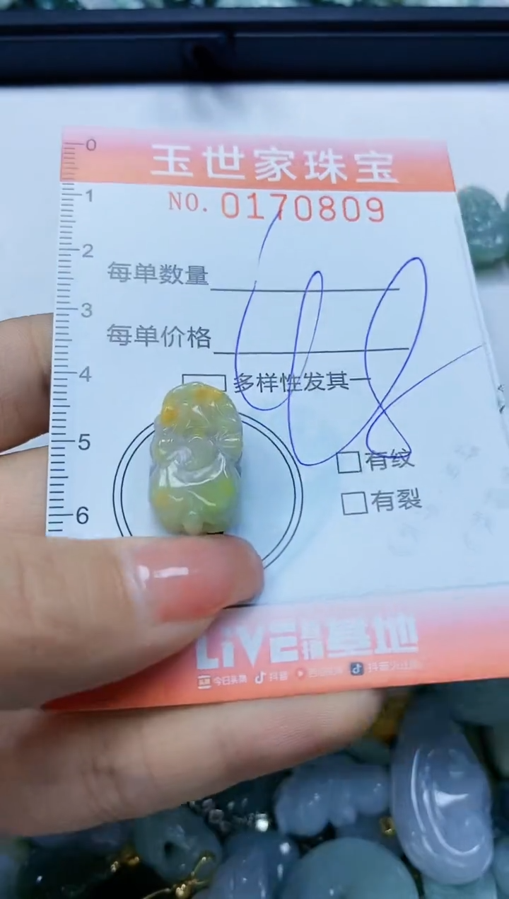 【闪购商品】翡翠颈饰未镶嵌闪购0170809