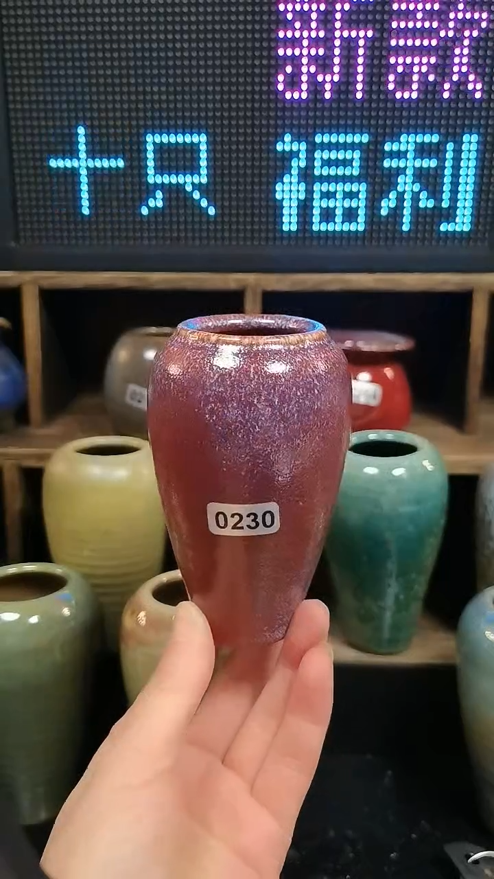 【闪购商品】红陶0230