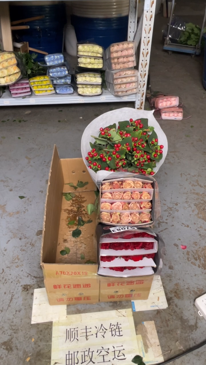 高原红20枝+卡布20枝+红豆