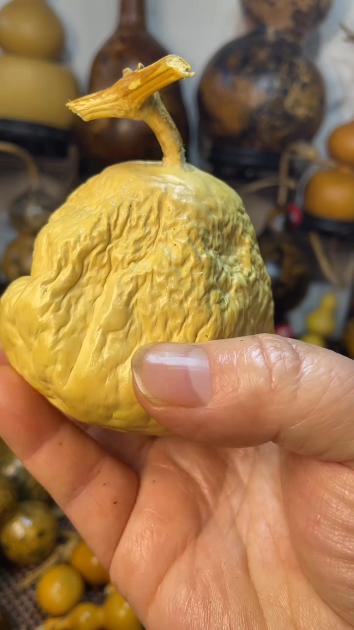 【闪购商品】葫芦葫芦葫芦葫芦
