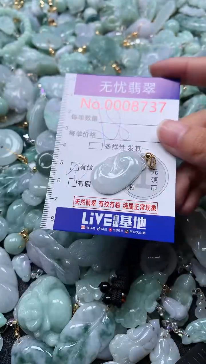 颈饰未镶嵌翡翠8737