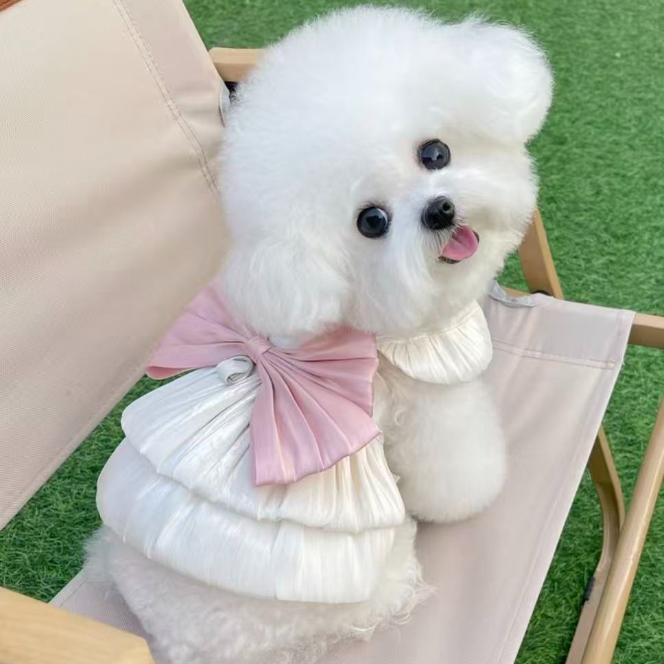 自选小型犬  泰迪比熊博美衣服--tt6