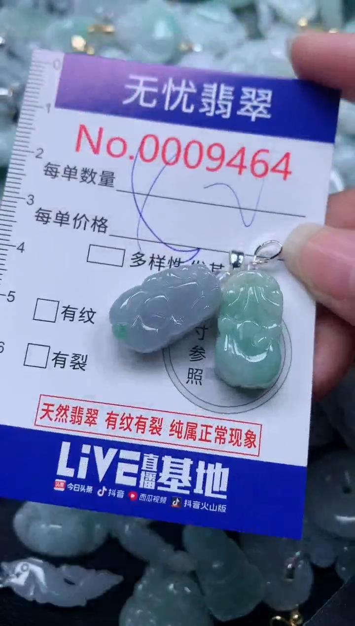 颈饰未镶嵌翡翠9464