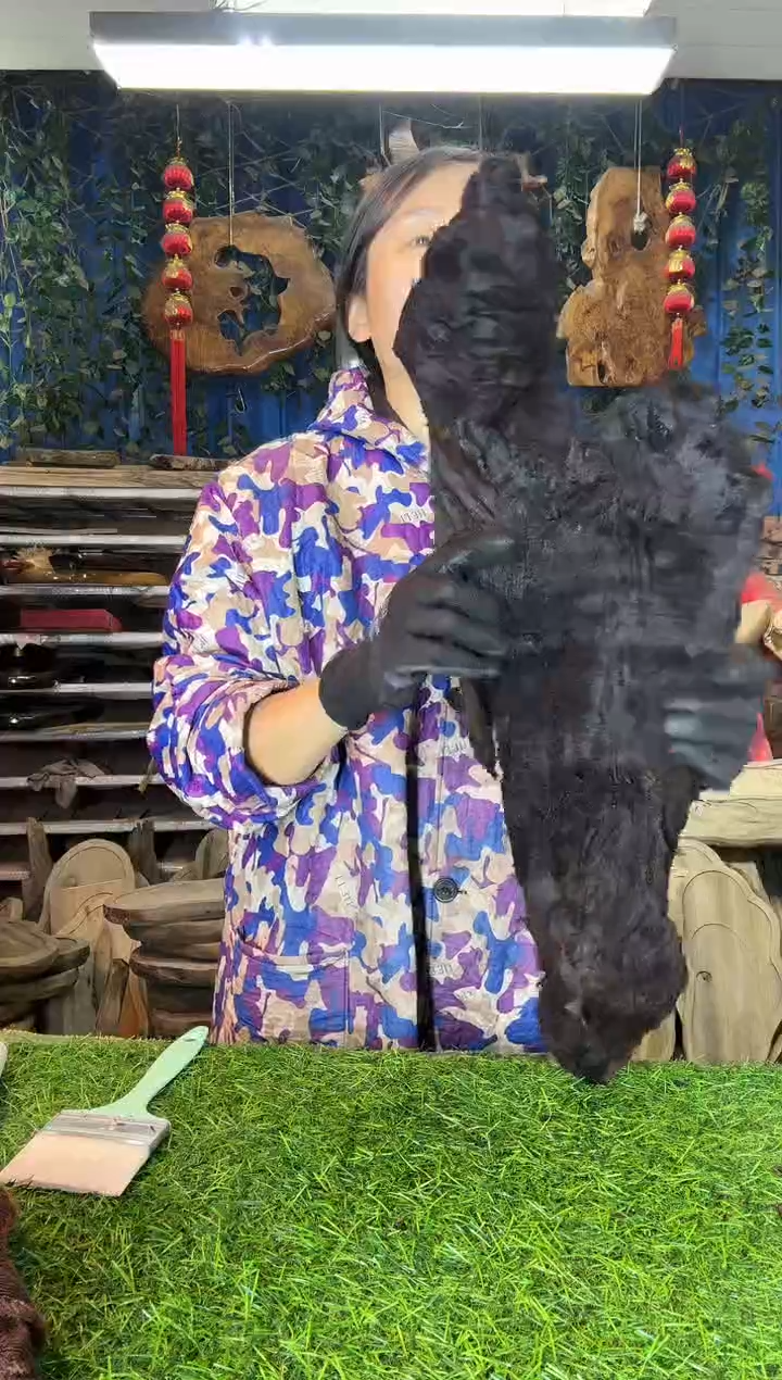 金丝楠小叶桢楠50