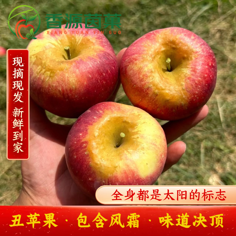 2025年云南昭通高原红露苹果当季新鲜现摘脆甜多汁高山种植2/5斤