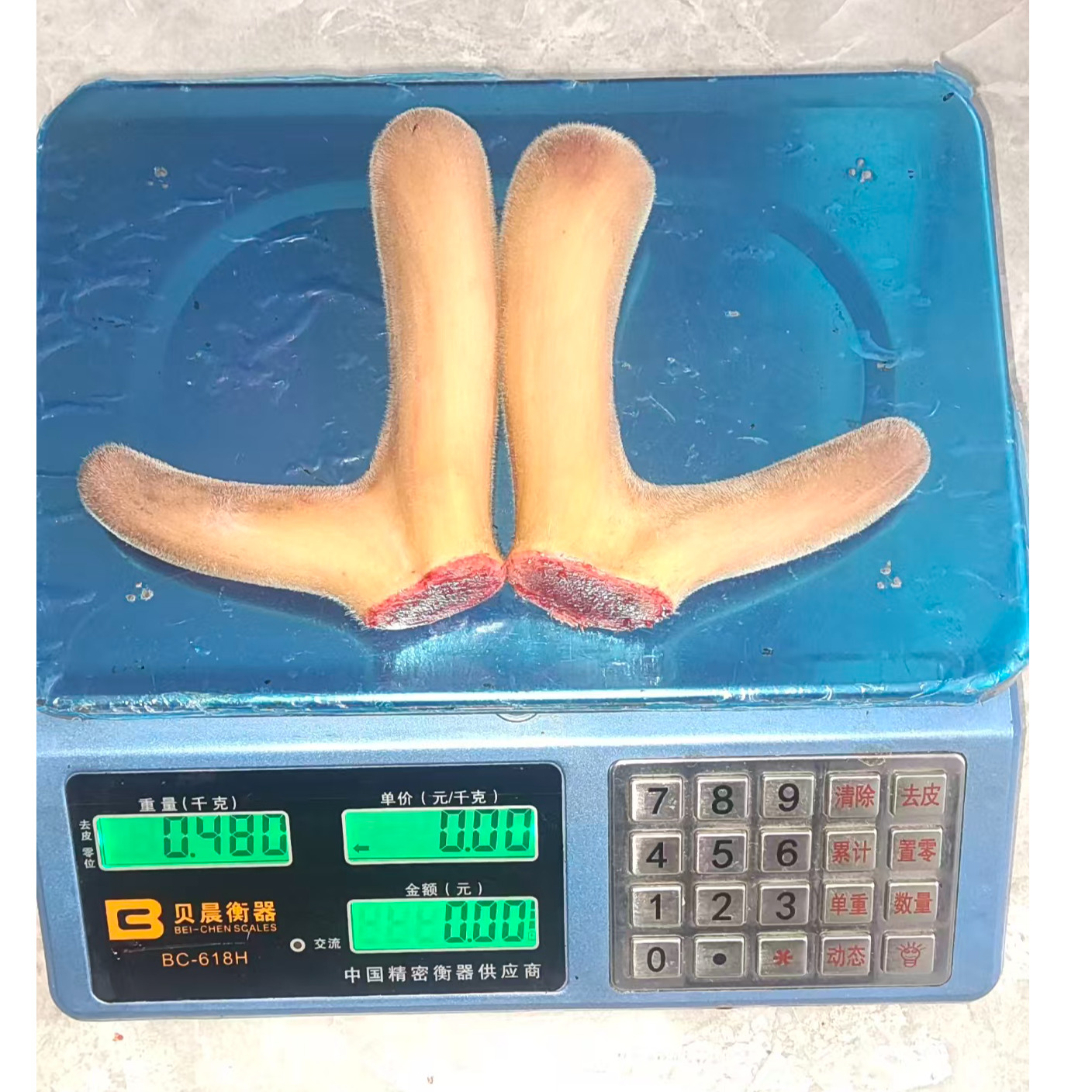 鹿乡直发，梅花鹿鲜鹿茸