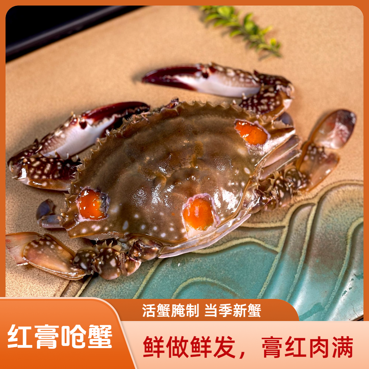 正宗舟山宁波特产 红膏呛蟹 整只生腌蟹 呛蟹 咸蟹（生吃不能蒸煮）