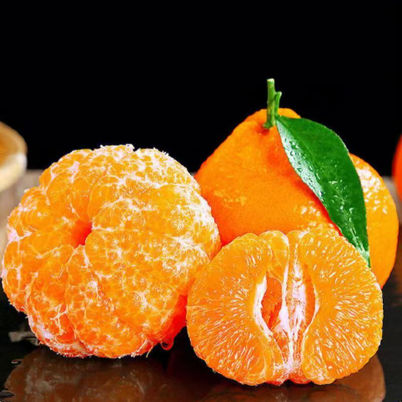 【四川春见耙耙柑】正宗四川眉山正宗春见耙耙柑新鲜  zsc