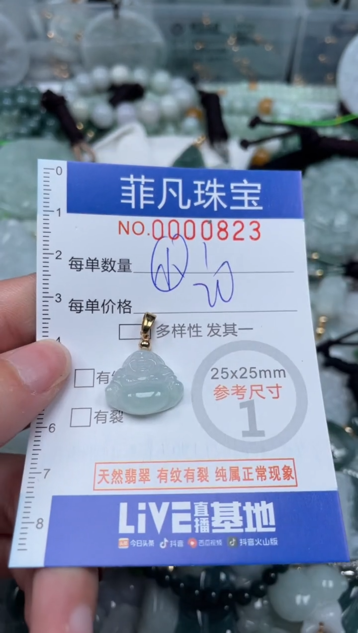 【闪购商品】翡翠颈饰未镶嵌00..0823