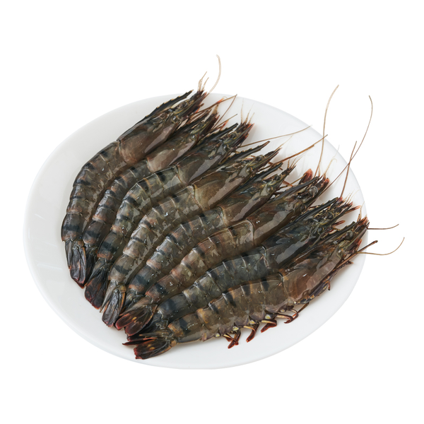 鲜活大黑虎虾/海草虾 250g/份（15只以内）
