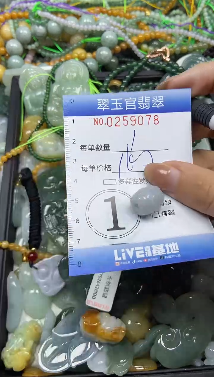 颈饰未镶嵌翡翠闪购C0259078